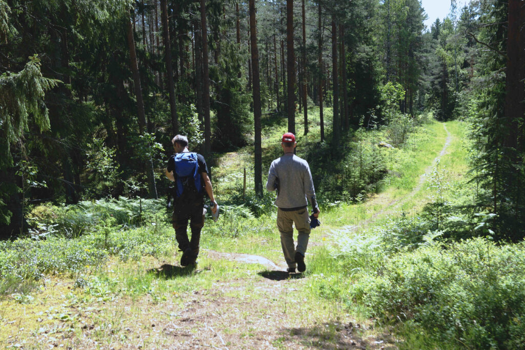 ml + az färgjusterad